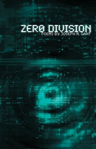 Book cover of Zero Division